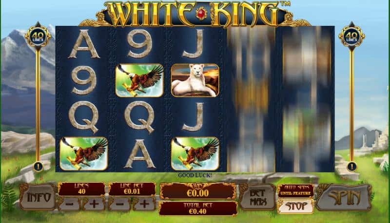 Pesona Singa Putih Sang Penguasa Padang Dalam White King