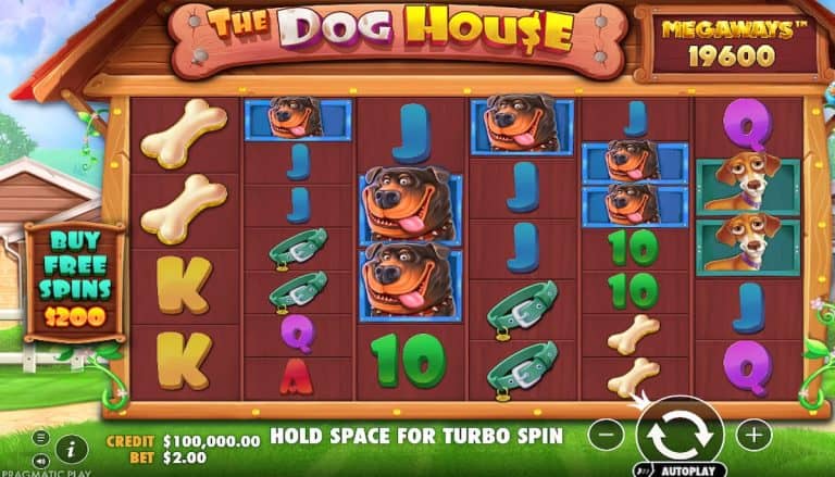 Serunya Dunia Anjing Lucu The Dog House Megaways